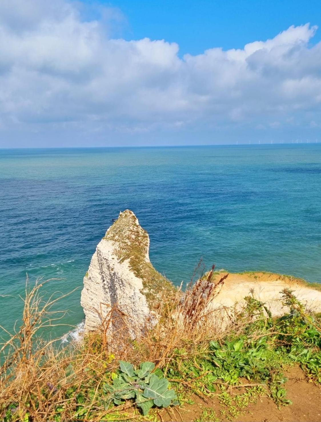 Maupiti Proche Etretat Et Fecamp Apartment